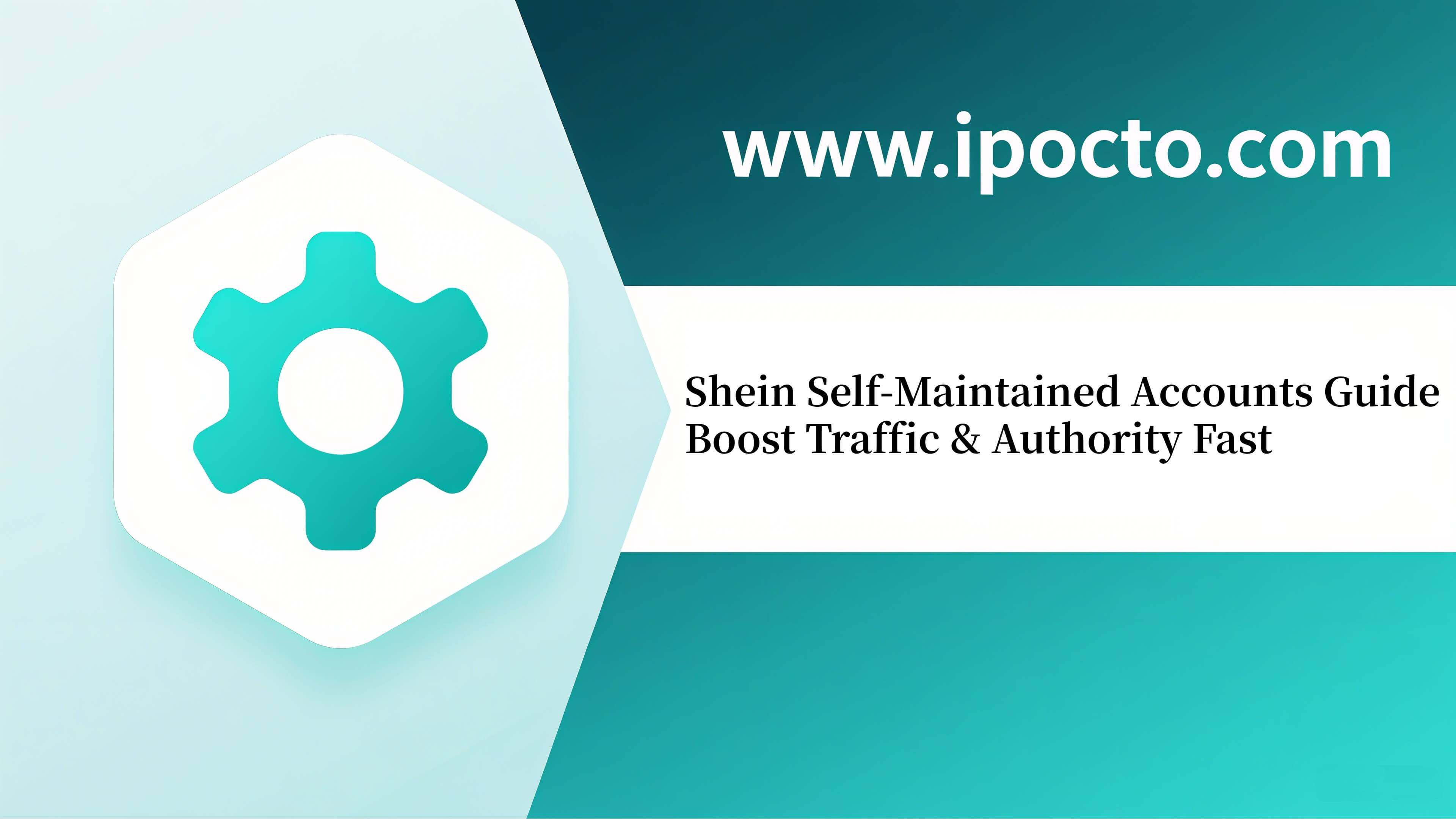 IPocto, Proxy IP, Dynamic IP Proxy, Residential IP Proxy, Web Scraping Proxy IP, High Anonymity Proxy IP, SOCKS5 Proxy, High Stability Proxy IP, IPRoyal, Proxy-Cheap, Webshare, evomi.