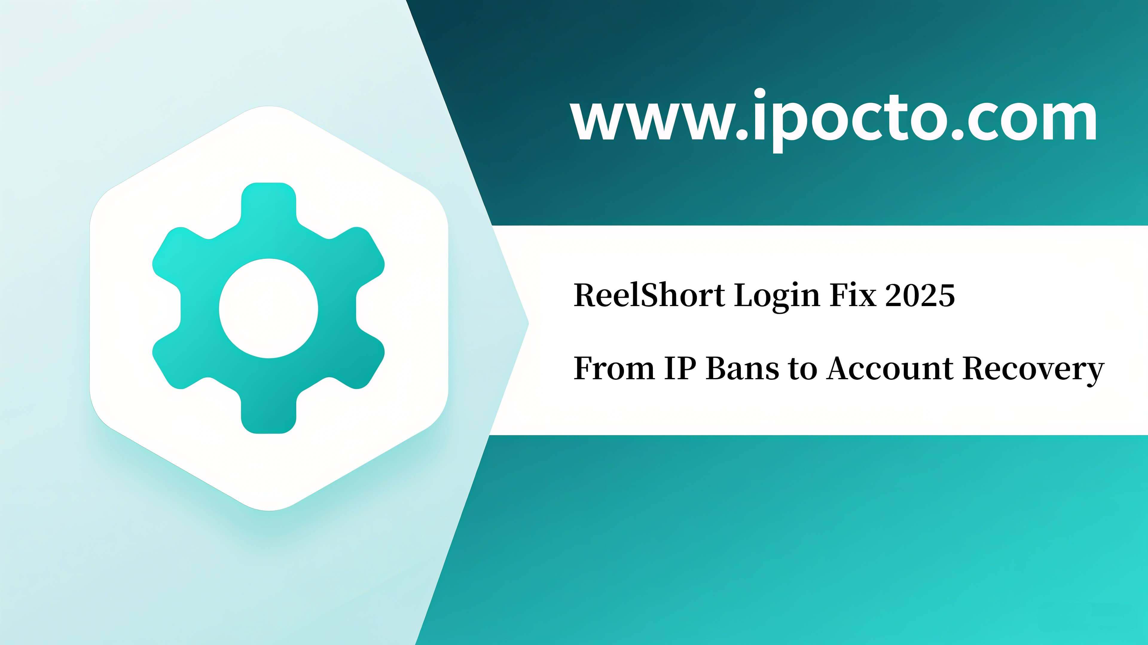IPocto, Proxy IP, Dynamic IP Proxy, Residential IP Proxy, Web Scraping Proxy IP, High Anonymity Proxy IP, SOCKS5 Proxy, High Stability Proxy IP, IPRoyal, Proxy-Cheap, Webshare, evomi.