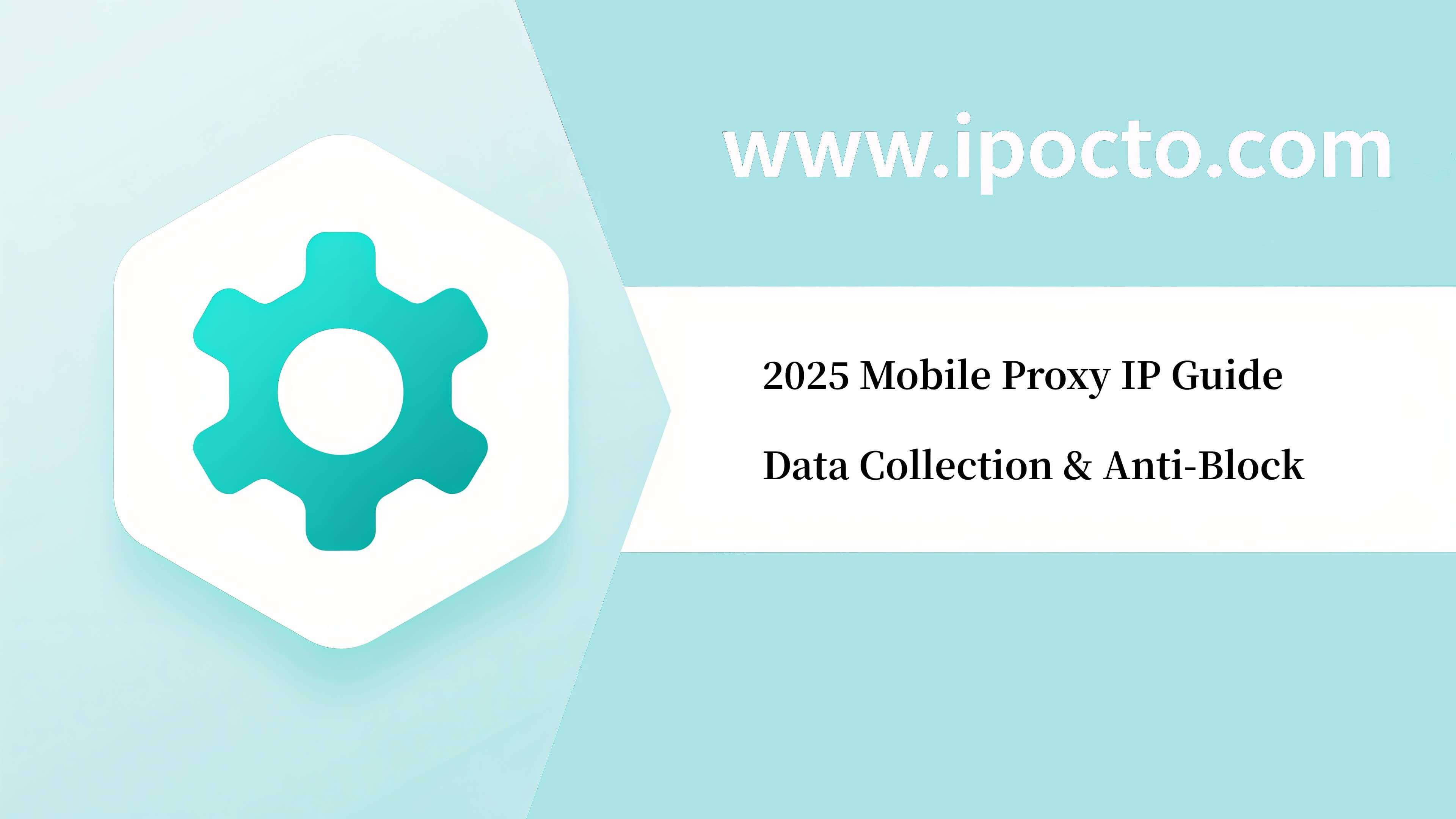 IPocto, Proxy IP, Dynamic IP Proxy, Residential IP Proxy, Web Scraping Proxy IP, High Anonymity Proxy IP, SOCKS5 Proxy, High Stability Proxy IP, IPRoyal, Proxy-Cheap, Webshare, evomi.